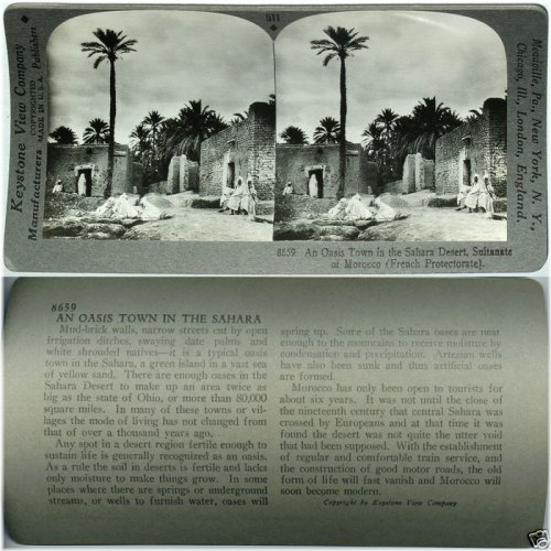 Desert Oasis Stereoview Card