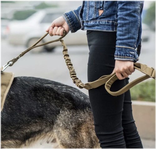 K9 Tactical Leash Set