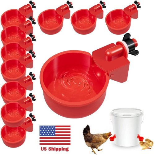 Feathered Friends Watering System