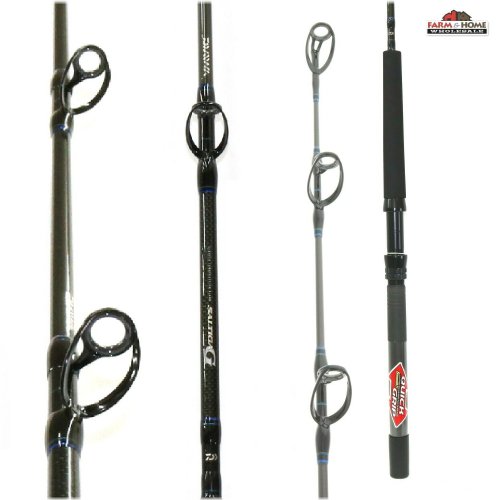Saltiga Heavy Casting Rod