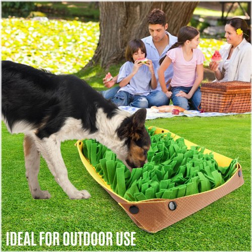 Forage Fun Mat for Dogs