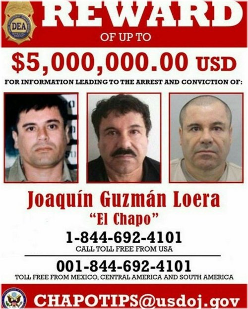 Chapo Guzman Mugshot Glossy Print