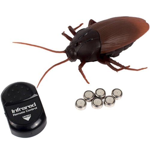 Roach Remote Control Prank