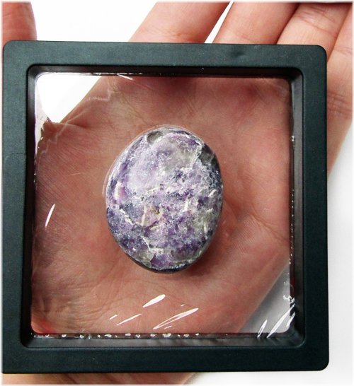 Fluttering Wing Treasures