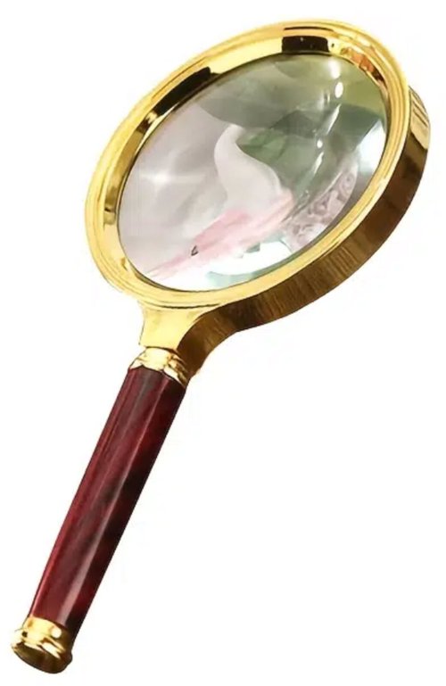 Precision View Magnifier