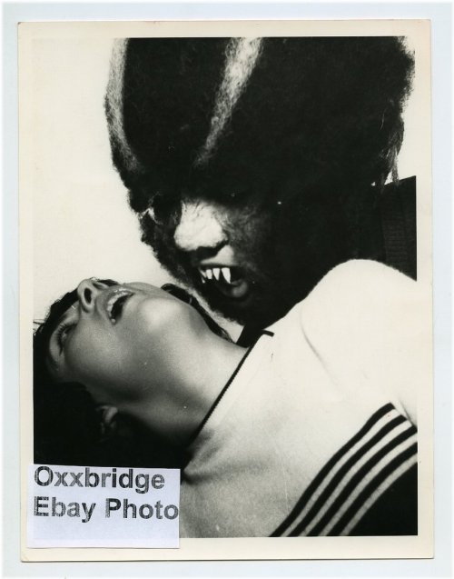 Shadows of the Sixties