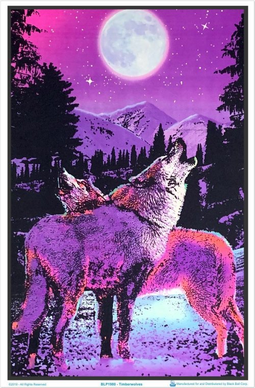 Moonlit Timberwolves Art Piece