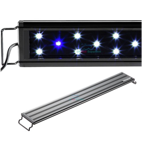 Ocean Glow LED Light for Vibrant Aquariums