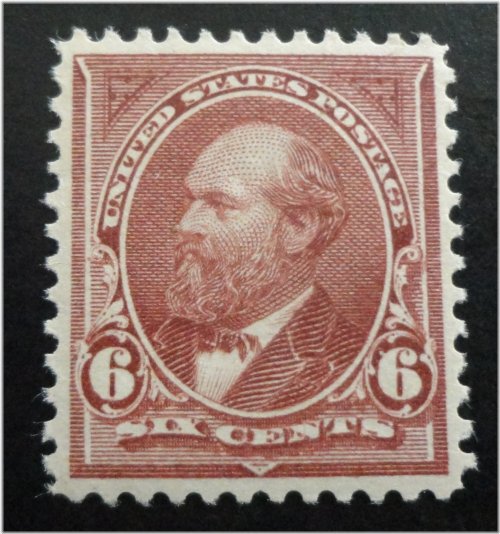 Garfield Gem 1895 Claret Brown Stamp