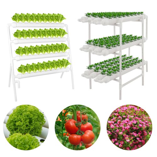 GreenThumb Hydroponic Garden Kit