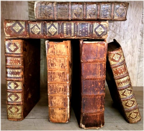 Timeless Treasures: A Collection of Rare and Collectible Books from the 1600s