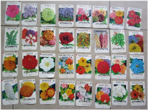 Floral Heritage Collection