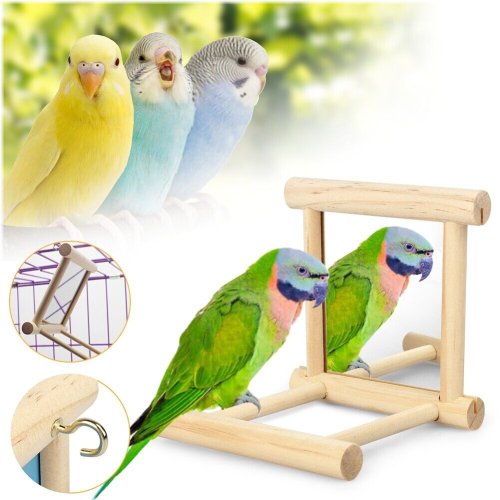 Aviary Reflection Perch Swing