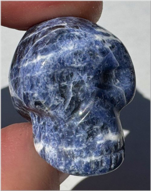 Sodalite Synergy Collector's Skull