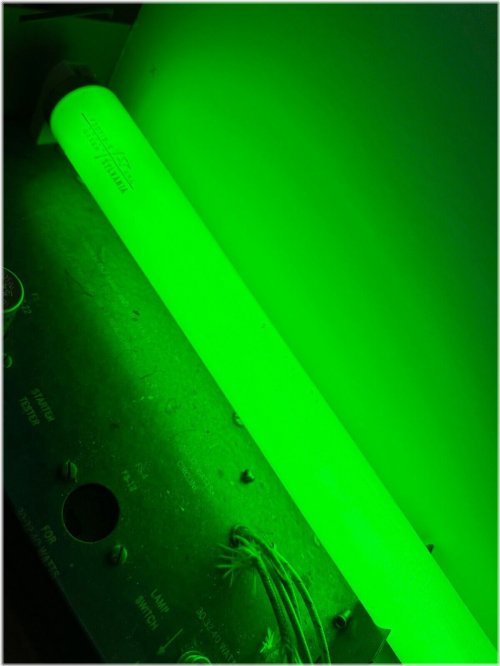 Green Glow 24" Fluorescent Tube