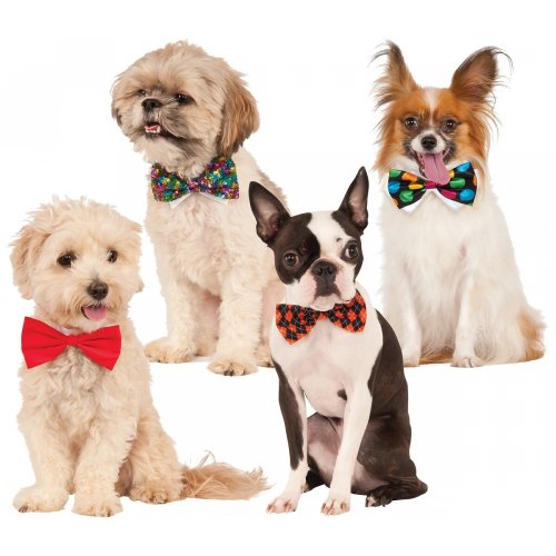 Canine Bow Tie Ensemble