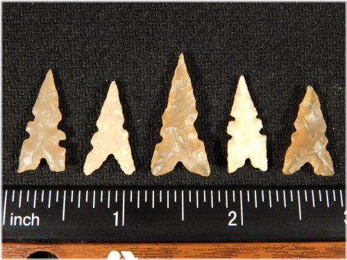 Ancient Tidikelt Arrowheads Collection