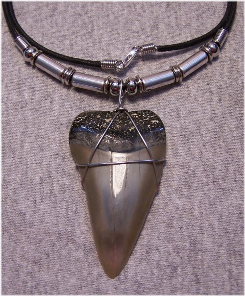 Prehistoric Shark Relic