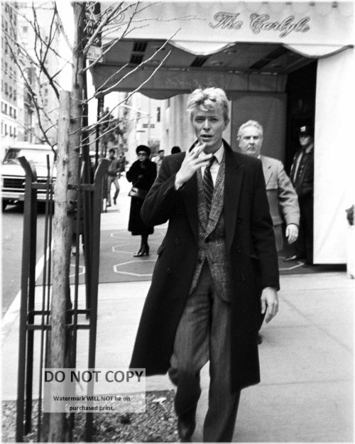 Iconic Encounter at The Carlyle Hotel