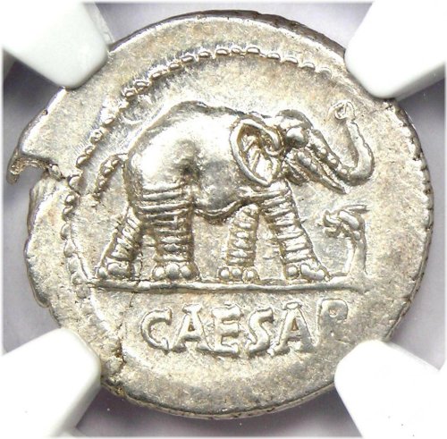Silver Elephant Denarius of Julius Caesar 49 BC - NGC Choice AU Certified
