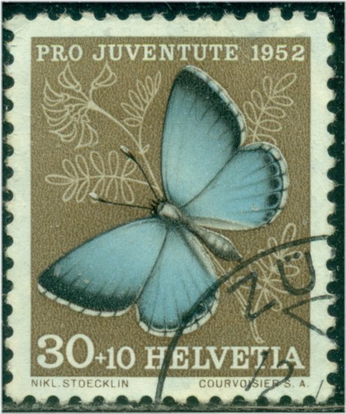 Argus Butterfly Stamp
