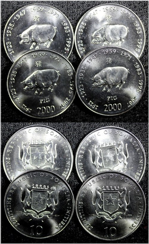 Somalia Pig 10 Shillings Coin