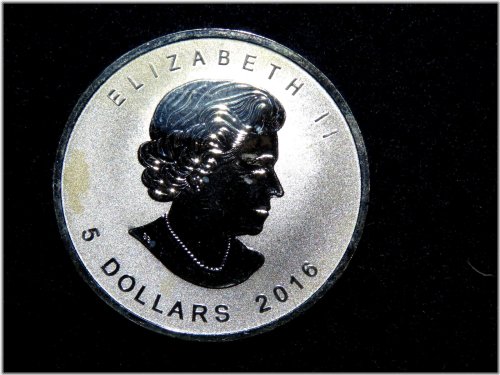 Silver Maple Leaf Wolf Privy Reverse Proof Coin