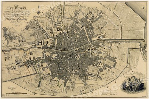 Emerald Isle Cartography - Dublin City Map (20x30)