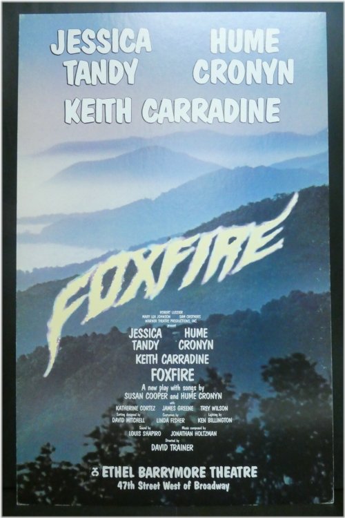 Vintage Broadway Show Poster