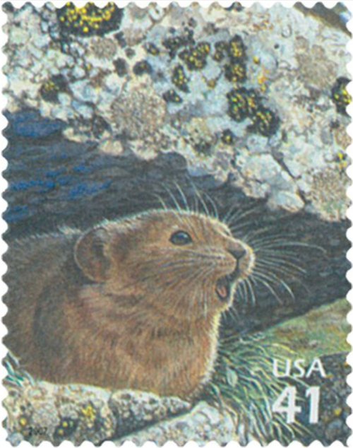 American Pika Stamp
