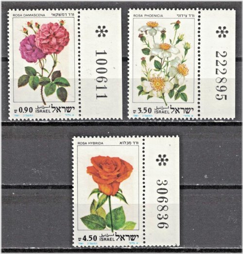 Blooming Beauties Stamp Set