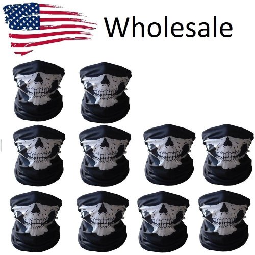 Frost Rider Skull Balaclava