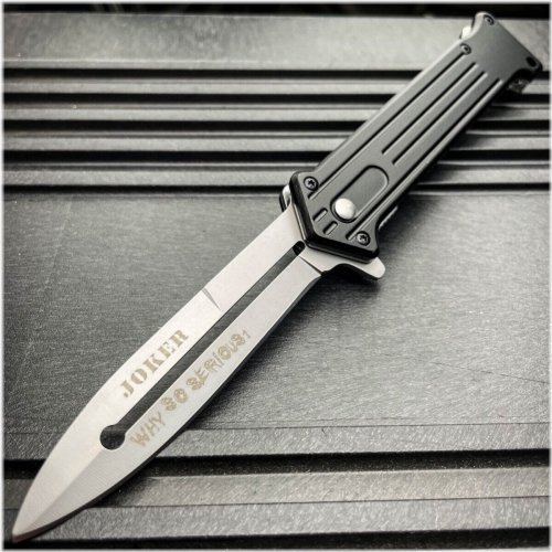 Sleek Blade Spring-Assisted Folding Knife