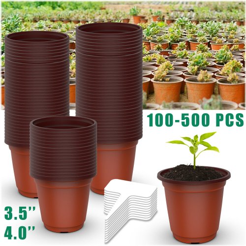 Nursery Seedlings Pot Container