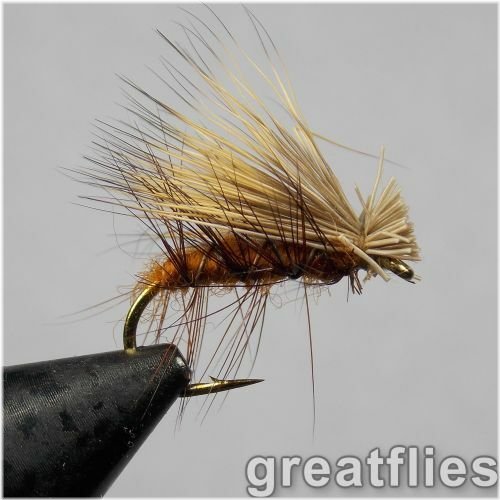 Caddis Brown Trout Flies