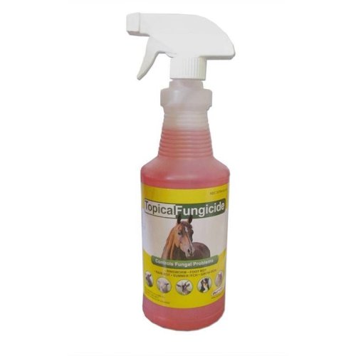 RingClear Fungal Relief Solution (16oz) - For Small Animals