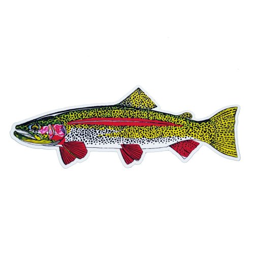 Rainbow Trout Delight Sticker