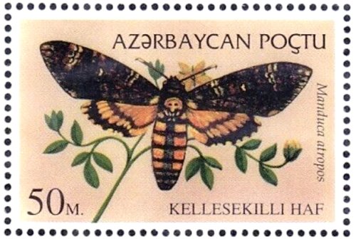 Azerbaijan Butterfly Stamp - Mi197 MNH 1995