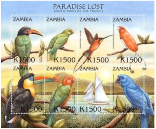 Zambia's Avian Treasures