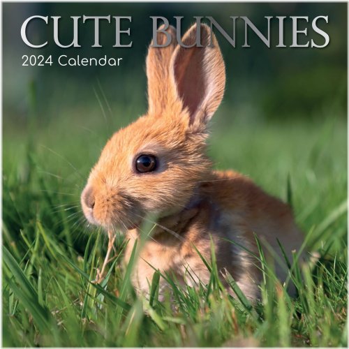 Bunny Bliss 2024 Calendar