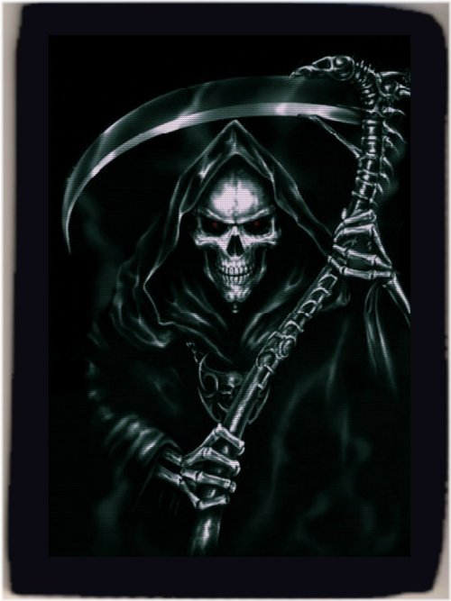 Eternal Harvest Trifold Wallet