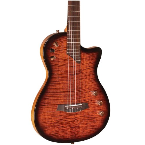 Harmony Burst Acoustic-Electric Guitar