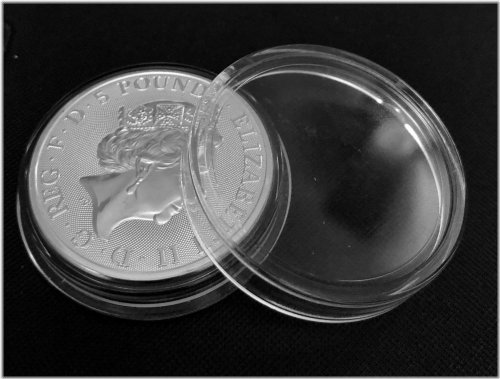 Royal Guard Coin Capsules