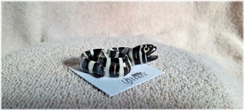 Zebra Moray Eel "Retreat" Miniature Figurine