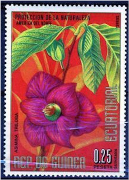 Equatorial Guinea Tropical Treasures Stamp Collection