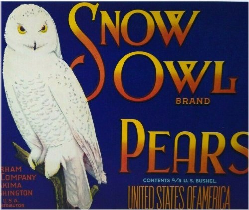 Vintage Snow Owl Fruit Crate Label