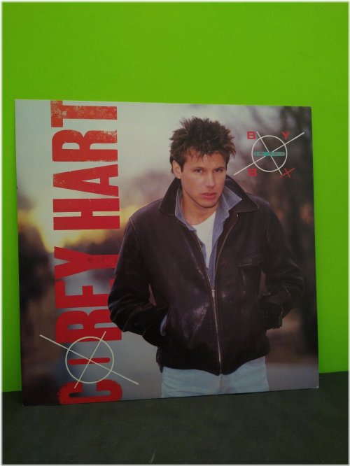 Vintage Soulful Sounds Poster