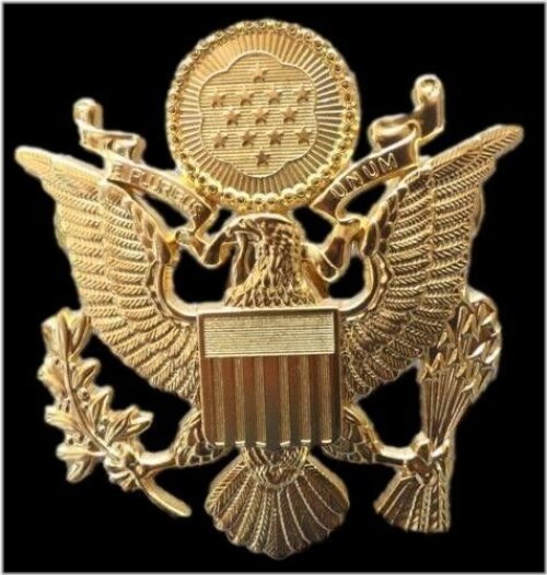 Gold Officer's Hat Lapel Pin for Military Collectors