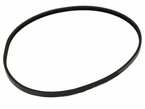 Cardio Drive Belt