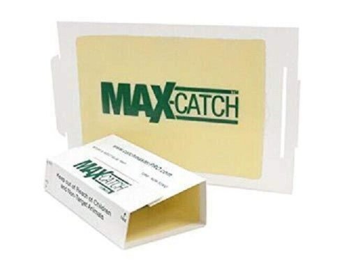 MaxCatch Glue Boards for Rodent Control